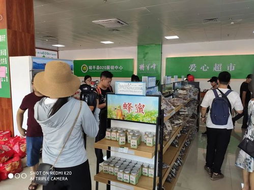 走進名茶之鄉(xiāng) 走出脫貧致富之路——聚焦賀州茶旅產業(yè)與日用百貨銷售的融合發(fā)展